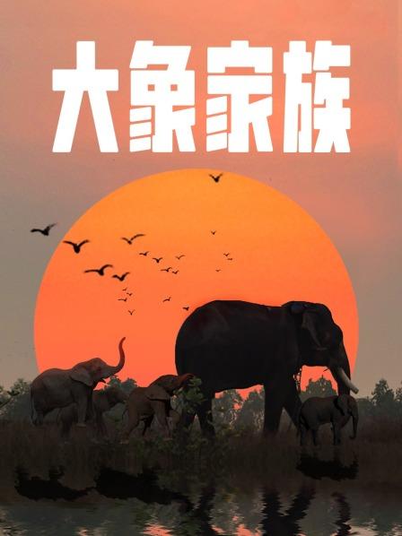 上海动物园“牛科宝宝”亮相